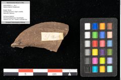 Foto (Objekt + Etikett) von Sphaeria daphnes Ettingshausen (NHMW-GEO-2024-0188-0031a)